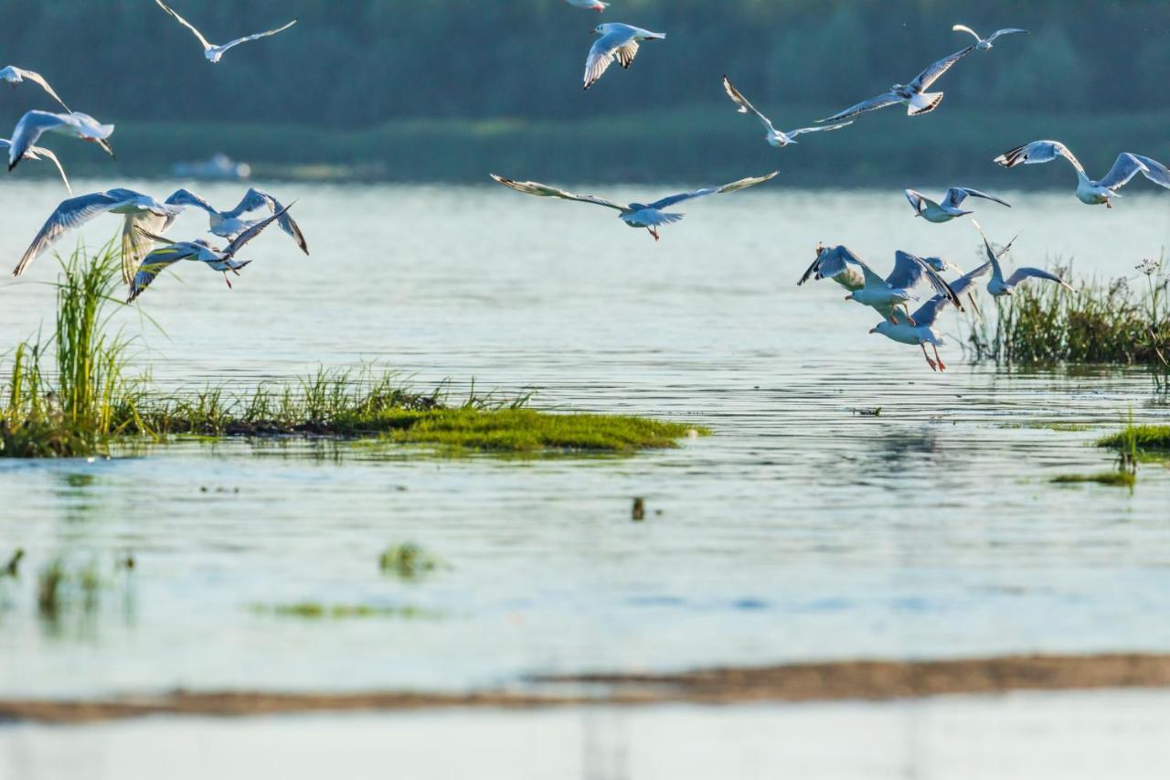 Гостинний Двір На Хуторі Хрещатик ภายนอก รูปภาพ